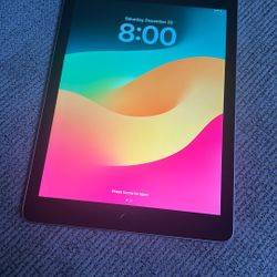 iPad (6th Generation)