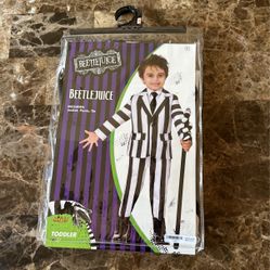 Beetlejuice costume