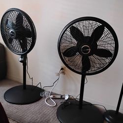 Lasko Fan - Each For $45