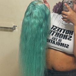 30 Inch 613 Human Hair Wig – Dyed Blue/Green, Worn Once, $85 (Pickup Today!)