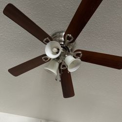 Ventiladores Con Focos 