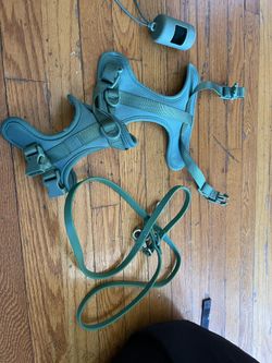 Wild One Small Dog Leash Set