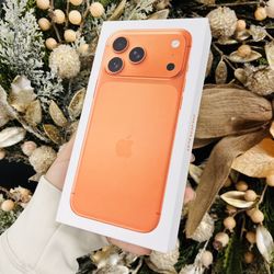 iPhone 17 Pro Max 256gb 