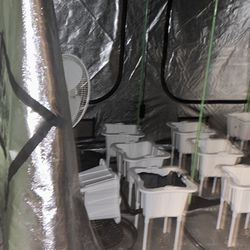Grow Tents And Equipment Full Set Ups