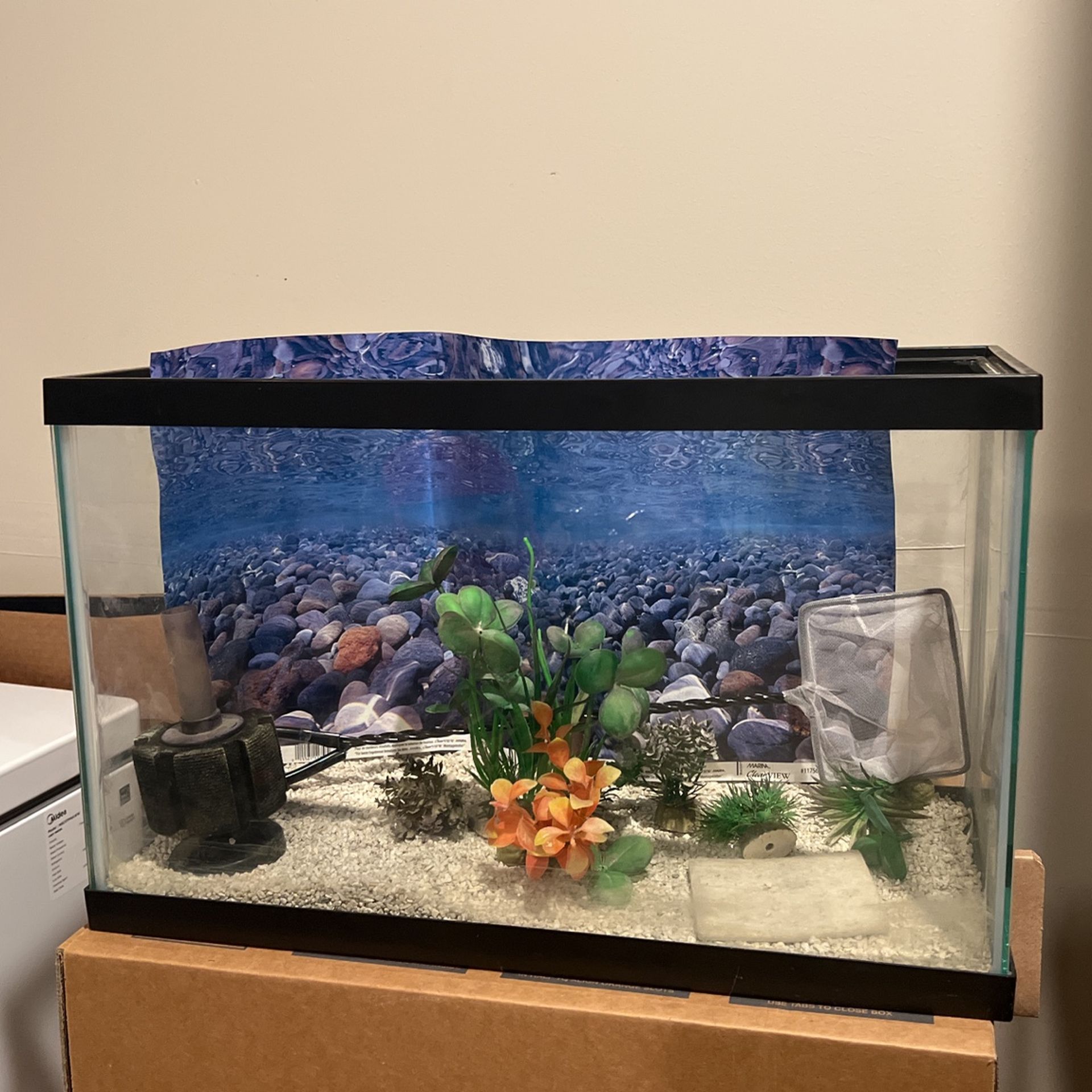 Fish Tank 10 Inch - $15
