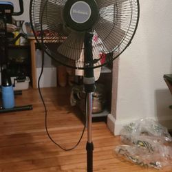3 Fans 