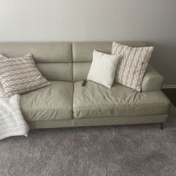 Leather Couches