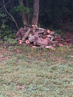 wood