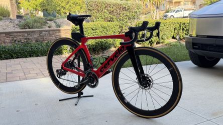 Cervelo s5 tiger eye size 51