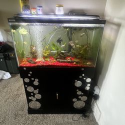 Aquarium and Stand for Sale – Full Setup!