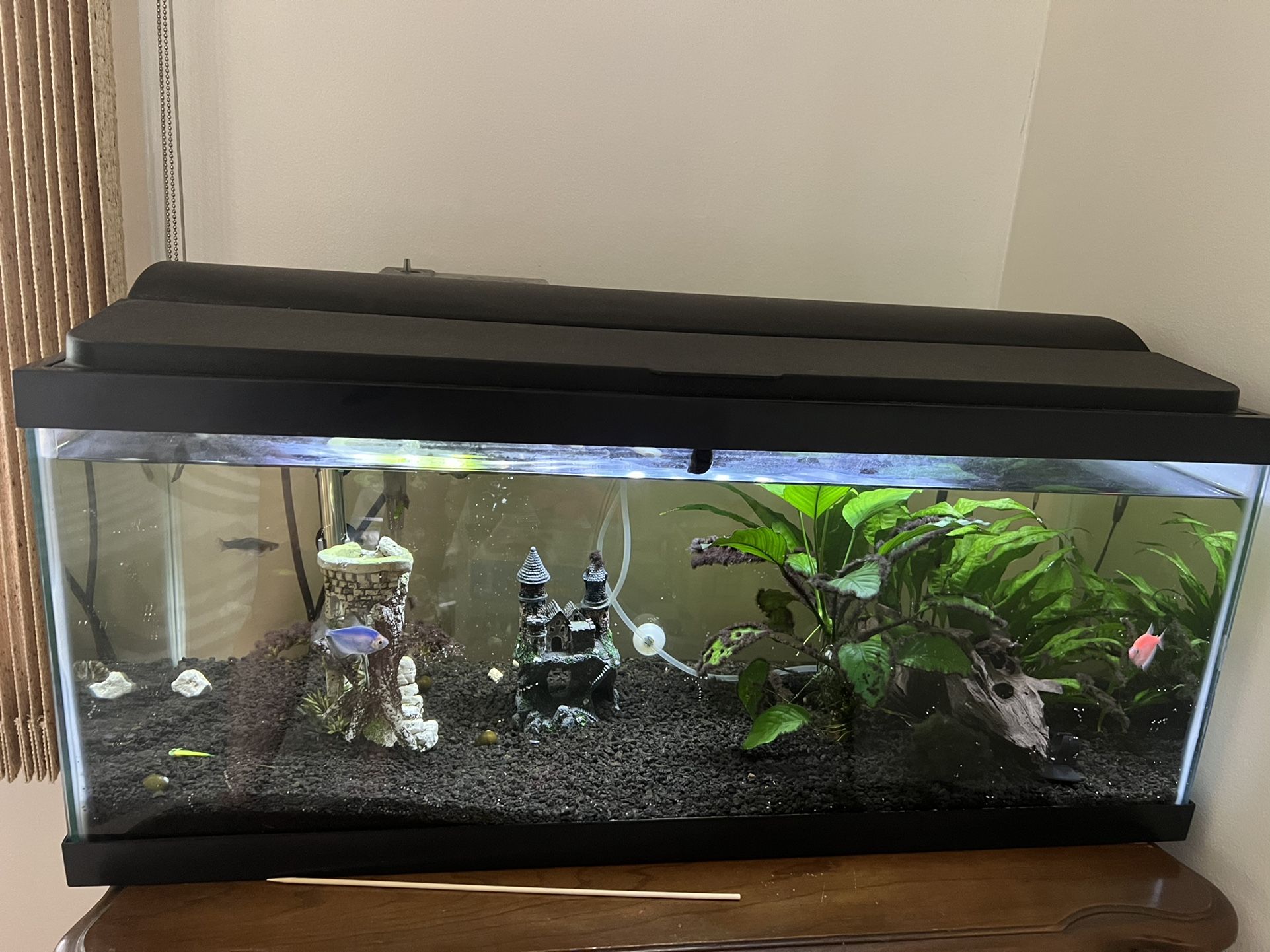 20 Gallon Fish Tank With Cover And Light With Filter
