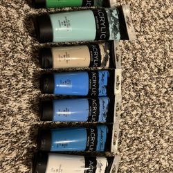Acrylic Paint - Used