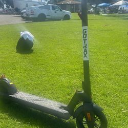 Gotrax XL (apex) Scooter 