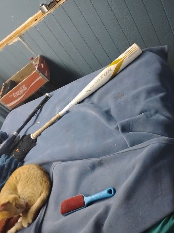 Easton BB18GX Ghost X Adult Baseball Bat 2 2018
