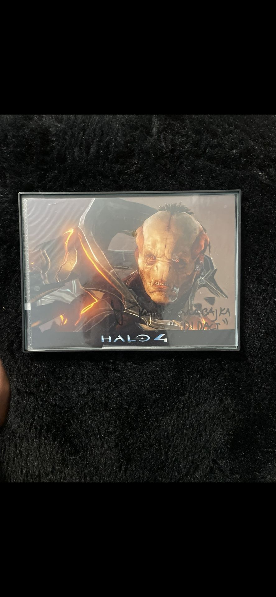 Signed Halo Poster