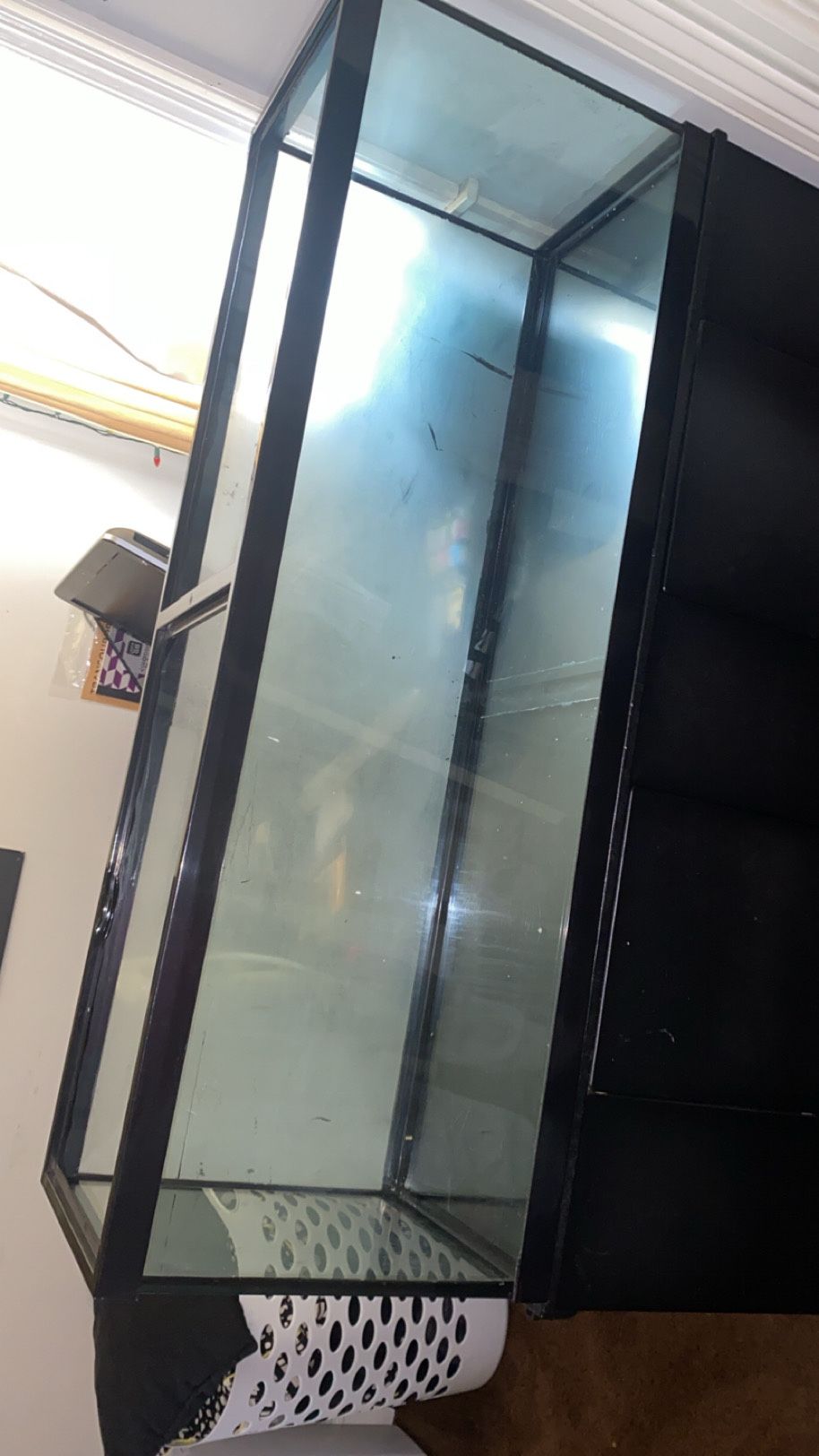 Aquarium Tank