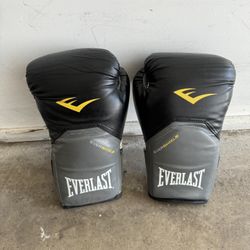 Everlast Boxing Gloves