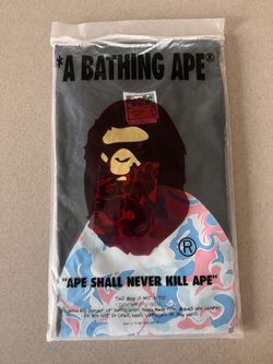 A Bathing Ape BAPE Graphic T-Shirt Size L
