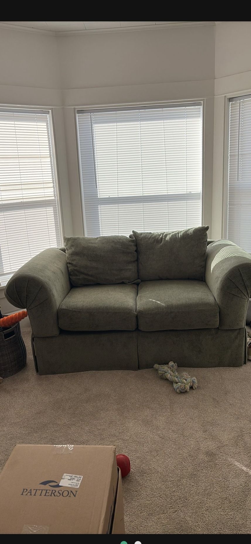 Green plush love seat