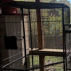 5ft Tall 3ft Wide Bird Cage