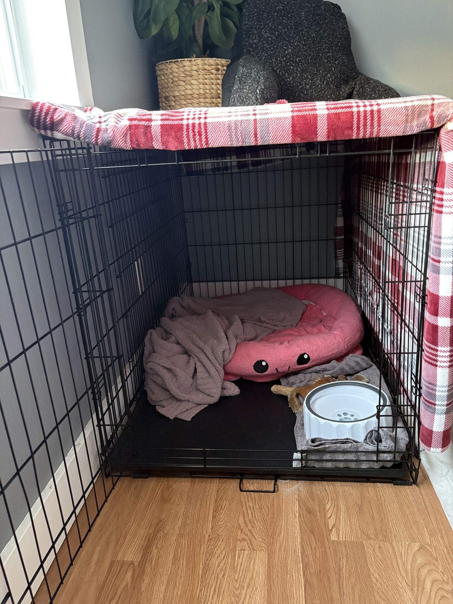 Xl Dog Kennel