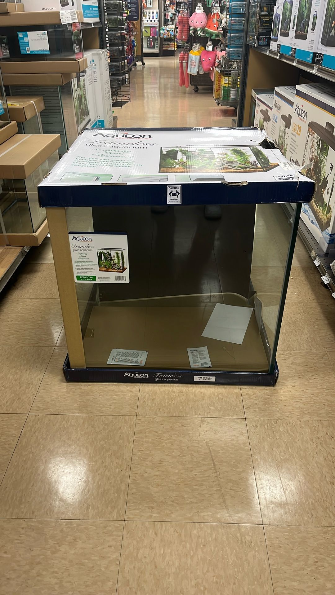 60 Gallon Frameless Cube Aquarium