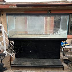 75 Gallon Fish Tank Aquarium  And Stand 