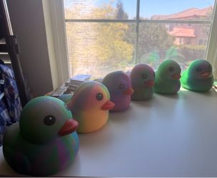 Squeeezy Ducks - 6 Total!!