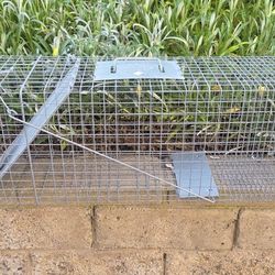 Animal Trap Medium Size