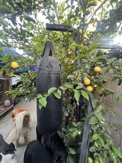 Punching Bag with Stand