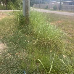 Cortes De Yardas Escribir Para Mas Información 