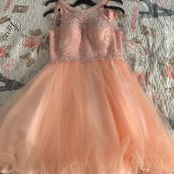 Pink Blush Dress   