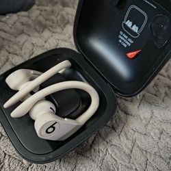 Beats Pro Earbuds