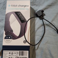 Charge 4 Charger