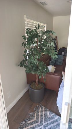 Large Artificial Ficus Tree with Pot