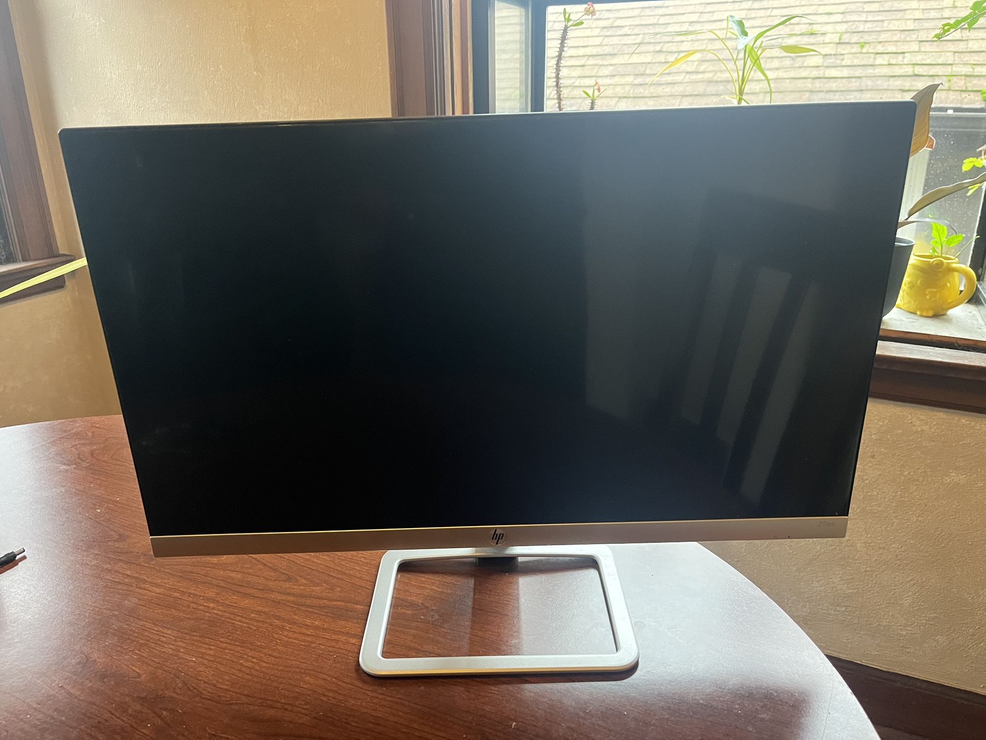 HP Computer Monitor