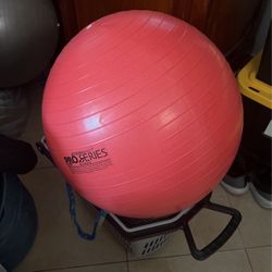 Exercise Ball 