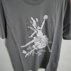 Men's AIR JORDAN Sport Paris DRI-FIT T-SHIRT Grey FZ1928-073 Sz Large.