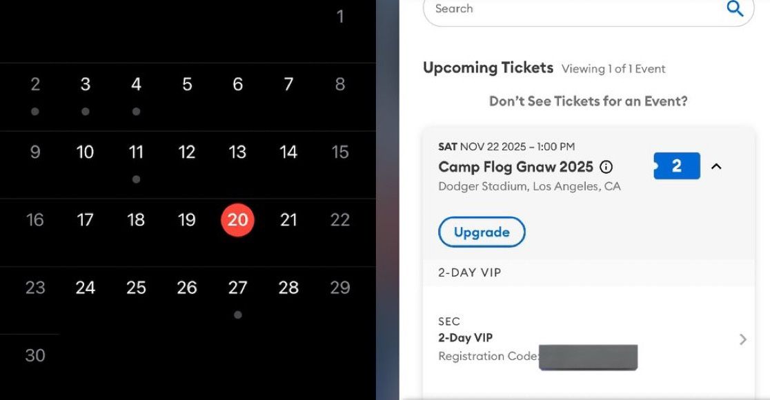 Camp Flog Gnaw VIP 2025