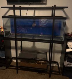55 Gallon Stand