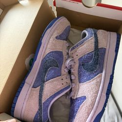 Size 9 Nike (Dunk & Air Max) 