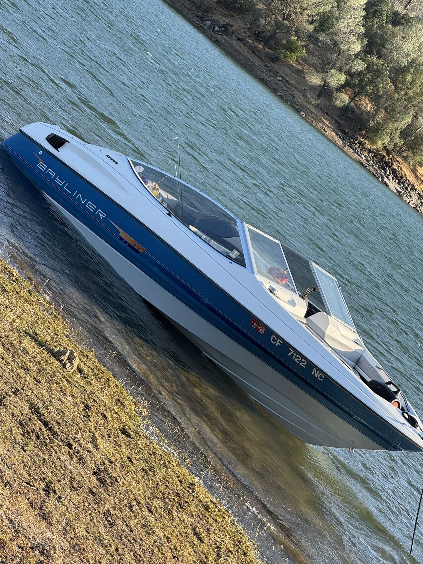 Bayliner Capri