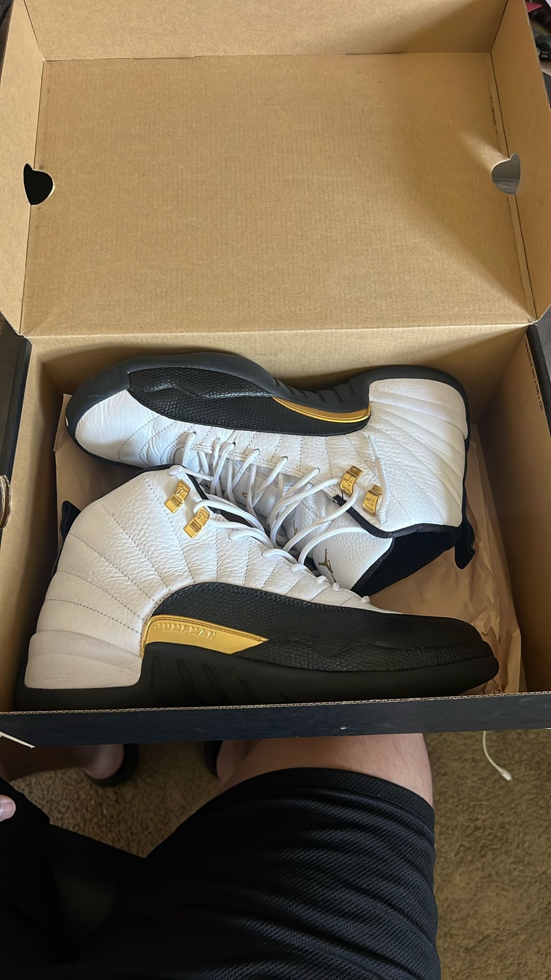 Jordan 12’s