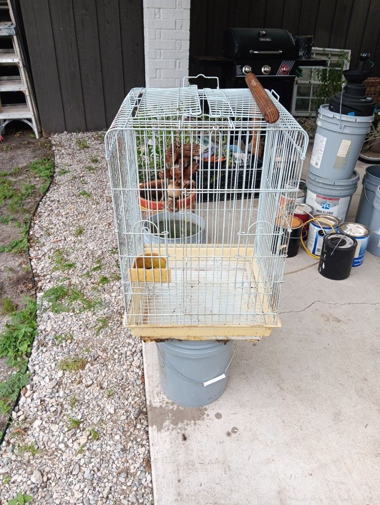 Bird Cage. Jaula Pajaro