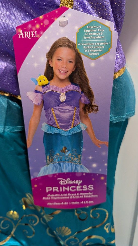 Princess Ariel Costume