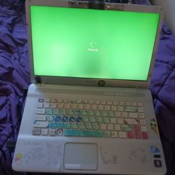 Sony Vaio Parts Laptop Turns On