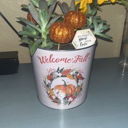 Fall Succulent Decor
