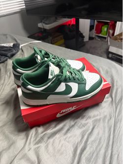 Nike dunk Michigan state