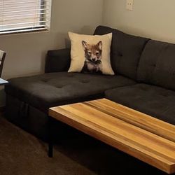 Sectional Pull Out Sofa