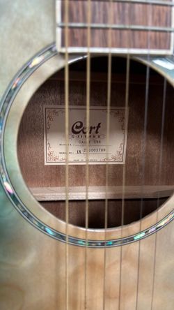 Acoustic guitar